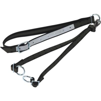 Kerbl Modell - Halsband + Leine - Tierausrüstung Kerbl Modell - Halsband + Leine - Tierausrüstung