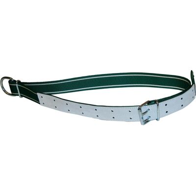 Kerbl Halsb.grün/weiss,150x5cm mit Ovalglied und D-Ring (Hund), Halsband + Leine Kerbl Halsb.grün/weiss,150x5cm mit Ovalglied und D-Ring (Hund), Halsband + Leine