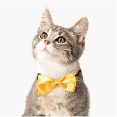 Catit Muszka dla kota Dinner, złota, Katzenspielzeug Catit Muszka dla kota Dinner, złota, Katzenspielzeug