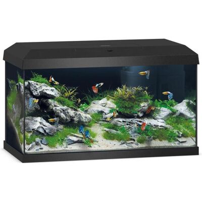 Juwel Aquarium Primo 2.0. (60 l), Aquarium Juwel Aquarium Primo 2.0. (60 l), Aquarium