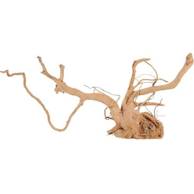 Zolux Japanische Wurzelspinne 50-60 cm - Aquarien Dekoration Zolux Japanische Wurzelspinne 50-60 cm - Aquarien Dekoration