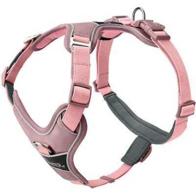 Hunter Divo Up (M, Hund, Allgemein), Halsband + Leine Hunter Divo Up (M, Hund, Allgemein), Halsband + Leine