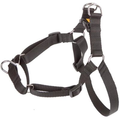 Red Dingo DINGO Easy Walk - Hundegeschirr - 95-125 cm (Hund, Allgemein), Halsband + Leine Red Dingo DINGO Easy Walk - Hundegeschirr - 95-125 cm (Hund, Allgemein), Halsband + Leine