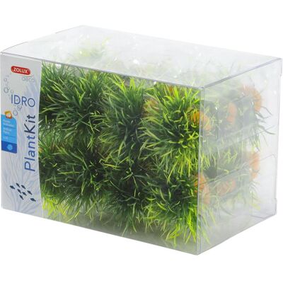 Zolux Kleines Pflanzen-Set IDRO 24 St. - Aquarium Dekoration Zolux Kleines Pflanzen-Set IDRO 24 St. - Aquarium Dekoration