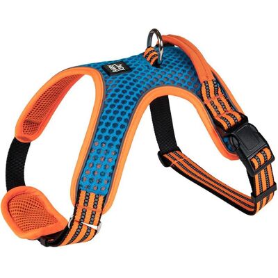 Barry King Hundegeschirr, blau und orange, reflektierend, XS (XS, Hund), Halsband + Leine Barry King Hundegeschirr, blau und orange, reflektierend, XS (XS, Hund), Halsband + Leine