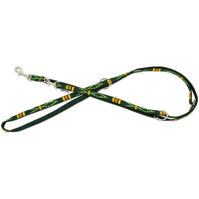 Barry King Smycz regulowana dla psa, zielony, wzór etniczny, taśma polipropylenowa, 20mm/220cm (Hund), Halsband + Leine Barry King Smycz regulowana dla psa, zielony, wzór etniczny, taśma polipropylenowa, 20mm/220cm (Hund), Halsband + Leine