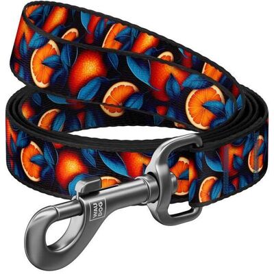 Waudog Nylon dog leash, pattern 'Oranges' length 122 cm (Hund, Spazieren), Halsband + Leine Waudog Nylon dog leash, pattern 'Oranges' length 122 cm (Hund, Spazieren), Halsband + Leine