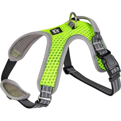 Barry King Hundegeschirr, grün, reflektierend, XS (XS, Hund), Halsband + Leine Barry King Hundegeschirr, grün, reflektierend, XS (XS, Hund), Halsband + Leine