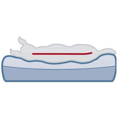 Trixie Remo Vital Hundebett - 110 x 80 x 16 cm Trixie Remo Vital Hundebett - 110 x 80 x 16 cm