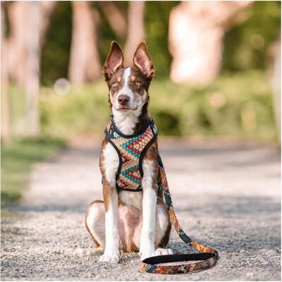 Barry King Hundeleine aus strapazierfähigem Stoff, Boho-Muster, 2,5x120 cm (Hund, Spazieren), Halsband + Leine Barry King Hundeleine aus strapazierfähigem Stoff, Boho-Muster, 2,5x120 cm (Hund, Spazieren), Halsband + Leine