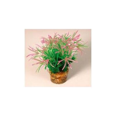 Zolux Small plant from set No.2 (Dekoration, Pflanzen), Aquarium Dekoration Zolux Small plant from set No.2 (Dekoration, Pflanzen), Aquarium Dekoration