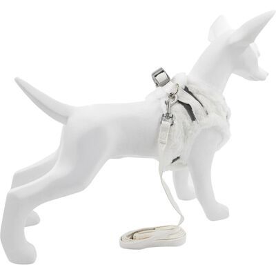 Barry King Zestaw, szelki+smycz, dla psa/kota, brudna biel, poliester, rozmiar S, ocieplane (S, Hund, Katze), Halsband + Leine Barry King Zestaw, szelki+smycz, dla psa/kota, brudna biel, poliester, rozmiar S, ocieplane (S, Hund, Katze), Halsband + Leine