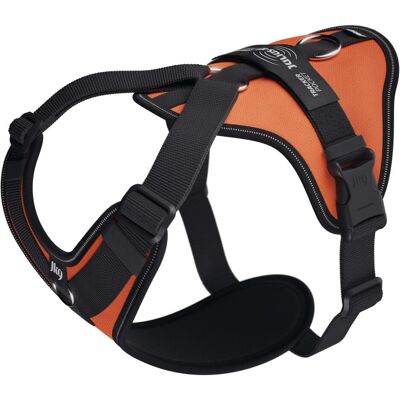 Julius-K9 K9 Longwalk light sele w/trackerpocket,UV Orange,L (L, Hund, Hundesport), Halsband + Leine Julius-K9 K9 Longwalk light sele w/trackerpocket,UV Orange,L (L, Hund, Hundesport), Halsband + Leine