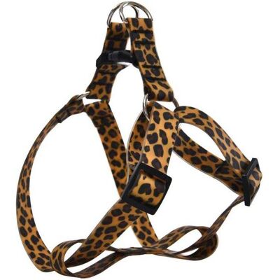 Barry King wasserdichte Hundeleine PVC Leopardenmuster 1,5x25-40 cm (25, 27, 28, 29, 30, 31, 32, 33, 34, 35, 36, 37, 39, 40, Hund), Halsband + Leine Barry King wasserdichte Hundeleine PVC Leopardenmuster 1,5x25-40 cm (25, 27, 28, 29, 30, 31, 32, 33, 34, 35, 36, 37, 39, 40, Hund), Halsband + Leine