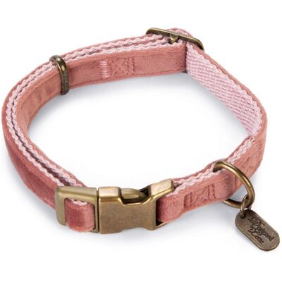 Designed by Lotte Velura (40, Hund, Allgemein), Halsband + Leine Designed by Lotte Velura (40, Hund, Allgemein), Halsband + Leine