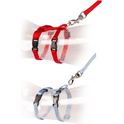 2x EBI Kätzchen Spazierset (Katze, Allgemein), Halsband + Leine 2x EBI Kätzchen Spazierset (Katze, Allgemein), Halsband + Leine