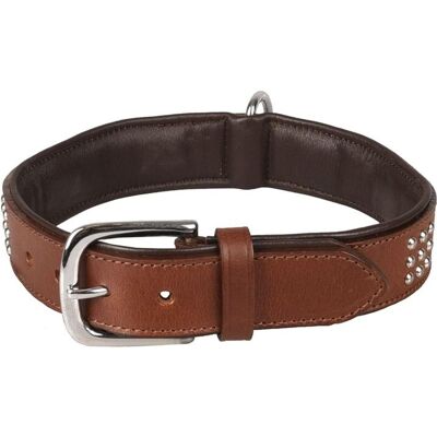 Flamingo Hundehalsband Sedona, braun, 390-450mm x 37mm (Hund), Halsband + Leine Flamingo Hundehalsband Sedona, braun, 390-450mm x 37mm (Hund), Halsband + Leine
