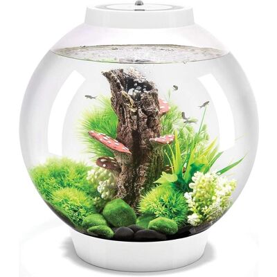 Oase, Brunnen + Gartenteich, 72007 Acquario biOrb CLASSIC 30 LED weiss 30 l con illuminazione a Oase, Brunnen + Gartenteich, 72007 Acquario biOrb CLASSIC 30 LED weiss 30 l con illuminazione a