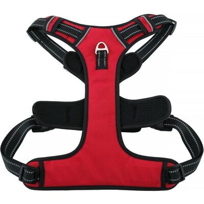 Red Dingo Consumer electronics OEM Dog harness OXFORD A size XS red black (XS, Hund, Spazieren), Halsband + Leine Red Dingo Consumer electronics OEM Dog harness OXFORD A size XS red black (XS, Hund, Spazieren), Halsband + Leine
