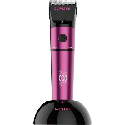 Kerbl CLIPSTER Akkuschermaschine DeloX, Tierschermaschine, inkl. 4X Aufsteckkamm, pink, Detailschur (Hund), Tierpflegegerät Kerbl CLIPSTER Akkuschermaschine DeloX, Tierschermaschine, inkl. 4X Aufsteckkamm, pink, Detailschur (Hund), Tierpflegegerät