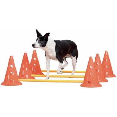Pawise Hund Aktivitätsset - Verstellbare Hürden, Kegel & Stäbe - Klein Pawise Hund Aktivitätsset - Verstellbare Hürden, Kegel & Stäbe - Klein