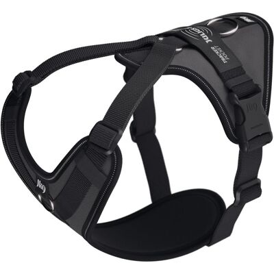 Julius-K9 K9 Longwalk light sele w/trackerpocket,Anthrazit,M (M, Hund, Spazieren), Halsband + Leine Julius-K9 K9 Longwalk light sele w/trackerpocket,Anthrazit,M (M, Hund, Spazieren), Halsband + Leine