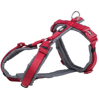 Trixie Hondentuig Premium Trekking Rood / Grafiet Grijs - 32-38X1,3 Cm (S, XS, Hund, Allgemein, Hundesport, Spazieren), Halsband + Leine Trixie Hondentuig Premium Trekking Rood / Grafiet Grijs - 32-38X1,3 Cm (S, XS, Hund, Allgemein, Hundesport, Spazieren), Halsband + Leine