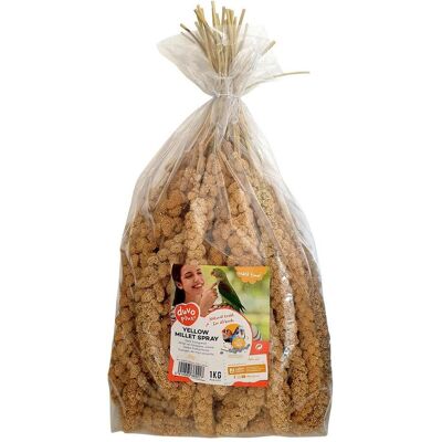 Duvo Pfirsich Hundeshampoo & Knotenlöser Duvo Pfirsich Hundeshampoo & Knotenlöser