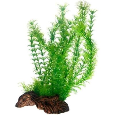 Hobby Kunstpflanze Flora Root 3, L, 30 cm (Dekoration, Pflanzen), Aquarium Dekoration Hobby Kunstpflanze Flora Root 3, L, 30 cm (Dekoration, Pflanzen), Aquarium Dekoration