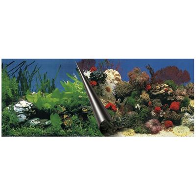 EBI Photo Rückwand Stone + Coral Zuschnitt (Dekoration, sonstige Gegenstände), Aquarium Dekoration EBI Photo Rückwand Stone + Coral Zuschnitt (Dekoration, sonstige Gegenstände), Aquarium Dekoration