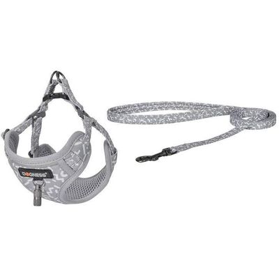 Dogness Laufset Leine+Geschirr für Hund (hellgrau) (Hund, Spazieren), Halsband + Leine Dogness Laufset Leine+Geschirr für Hund (hellgrau) (Hund, Spazieren), Halsband + Leine