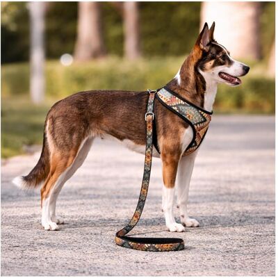 Barry King Hundegeschirr aus strapazierfähigem Stoff, Boho-Muster, max. Halsumfang 35 cm, Brustumfang 40–52 cm (Hund), Halsband + Leine Barry King Hundegeschirr aus strapazierfähigem Stoff, Boho-Muster, max. Halsumfang 35 cm, Brustumfang 40–52 cm (Hund), Halsband + Leine