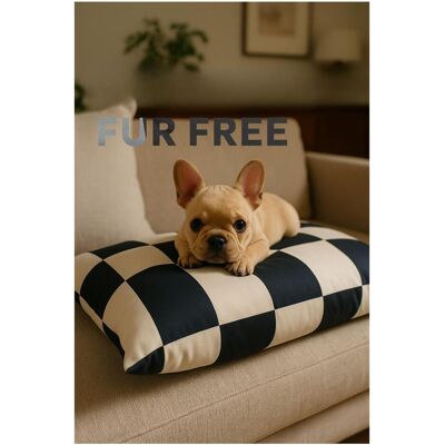 Paws & Whiskers Fur Free V2 Pet Bed (Hund, Katze), Hundebett + Katzenbett Paws & Whiskers Fur Free V2 Pet Bed (Hund, Katze), Hundebett + Katzenbett