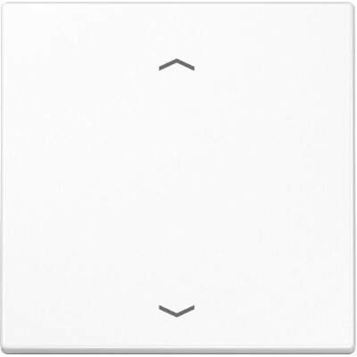 Jung Funk-Wandsender aws 2-kanalig Symbole ENO LS 990 P WW - Weiß Jung Funk-Wandsender aws 2-kanalig Symbole ENO LS 990 P WW - Weiß