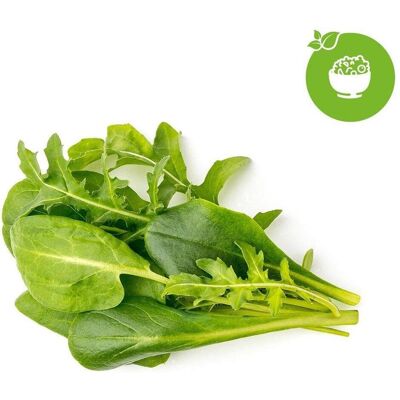 Click & Grow Indoor Salatset - 9 Pods, Grüner Mix Click & Grow Indoor Salatset - 9 Pods, Grüner Mix
