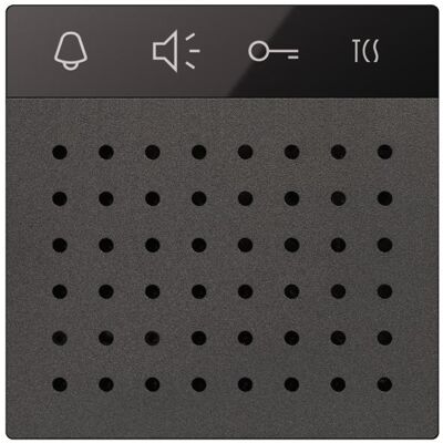 TCS, Zubehör Gebäudesicherheit, AMI11110-0057 :BUS Sprechenmodul SW TCS, Zubehör Gebäudesicherheit, AMI11110-0057 :BUS Sprechenmodul SW