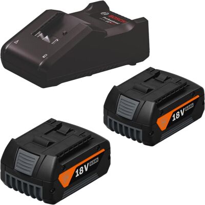 Fein, Werkzeugakku + Ladegerät, Starter Set 2x GBA 18 V 4.0 Ah AS Akkupack + GAL 18V-40 AMPShare Ladegerät (18 V) Fein, Werkzeugakku + Ladegerät, Starter Set 2x GBA 18 V 4.0 Ah AS Akkupack + GAL 18V-40 AMPShare Ladegerät (18 V)