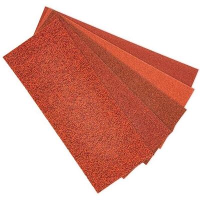 Verto, Schleifmittel, 63H654 Rotierendes Schleifwerkzeug Zubehör, Kunststoff, Holz Sandpapier Verto, Schleifmittel, 63H654 Rotierendes Schleifwerkzeug Zubehör, Kunststoff, Holz Sandpapier