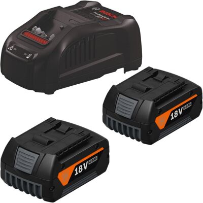 Fein, Werkzeugakku + Ladegerät, Starter Set 2x GBA 18 V 4.0 Ah AS Akkupack + GAL 1880 CV AMPShare Ladegerät Fein, Werkzeugakku + Ladegerät, Starter Set 2x GBA 18 V 4.0 Ah AS Akkupack + GAL 1880 CV AMPShare Ladegerät