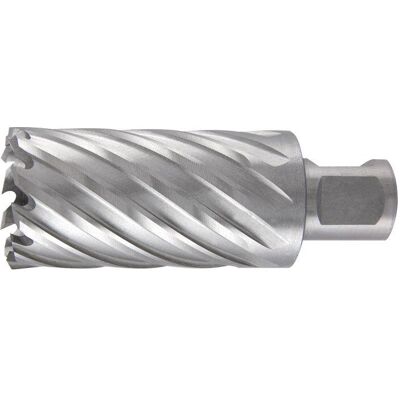 Ruko, Lochsäge, Kernbohrer Nenn-Ø 20 mm HSS Schnitttiefe 55 mm Weldon (20 mm) Ruko, Lochsäge, Kernbohrer Nenn-Ø 20 mm HSS Schnitttiefe 55 mm Weldon (20 mm)
