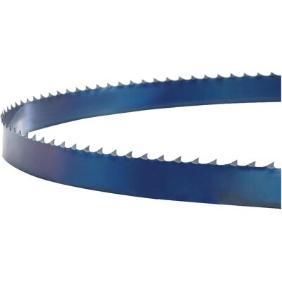 Holzstar, Sägeblatt, Sägeband 2560 x 10 x 0,5 mm, 6 ZpZ Holzstar, Sägeblatt, Sägeband 2560 x 10 x 0,5 mm, 6 ZpZ