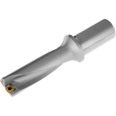 Dormer, Bohrereinsatz, Wendeplattenbohrer 3xD ISO 803D-1187-356-S125 D.31,8mm Schneid-D.30,1mm (31.8 Millimeter) Dormer, Bohrereinsatz, Wendeplattenbohrer 3xD ISO 803D-1187-356-S125 D.31,8mm Schneid-D.30,1mm (31.8 Millimeter)