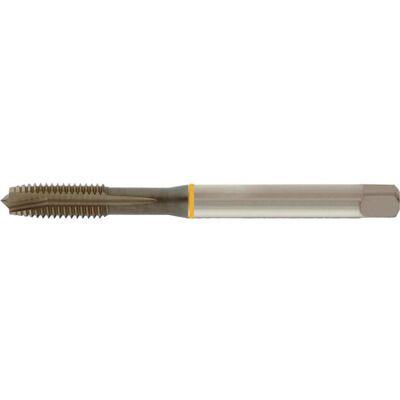 Forum M16 Gewindebohrer - 2mm Steigung, 110mm Länge - DIN 376 Forum M16 Gewindebohrer - 2mm Steigung, 110mm Länge - DIN 376