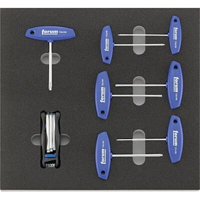 Forum Professional Solutions, Zubehör Werkzeugaufbewahrung, Werkzeugmodul 2017 2/3 mit Schraubendreher Torx mit Quergriff Forum Professional Solutions, Zubehör Werkzeugaufbewahrung, Werkzeugmodul 2017 2/3 mit Schraubendreher Torx mit Quergriff