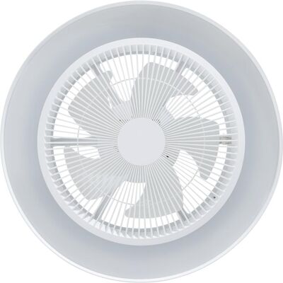 EGLO Ventilatore da Soffitto Vallonia con Luce, Ventilator, Weiss EGLO Ventilatore da Soffitto Vallonia con Luce, Ventilator, Weiss