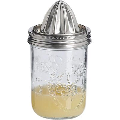 Zeller Present Zitruspresse, Entsafter, Transparent, Silber Zeller Present Zitruspresse, Entsafter, Transparent, Silber