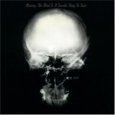 Rhino The Mind Is A Terrible Thing To Taste (Expanded Ed, Schallplatten Rhino The Mind Is A Terrible Thing To Taste (Expanded Ed, Schallplatten