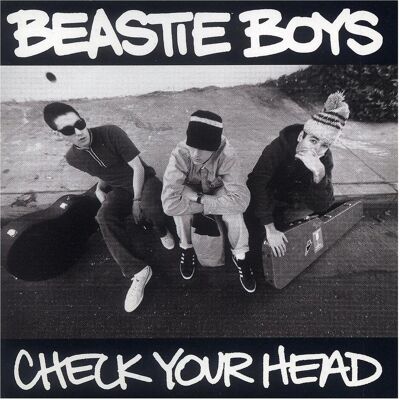 Vinyl Records Check Your Head, Schallplatten Vinyl Records Check Your Head, Schallplatten