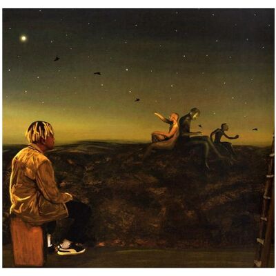 WMG From A Birds Eye View, 1 Schallplatte (Limited Coloured Vinyl Edition), Schallplatten WMG From A Birds Eye View, 1 Schallplatte (Limited Coloured Vinyl Edition), Schallplatten
