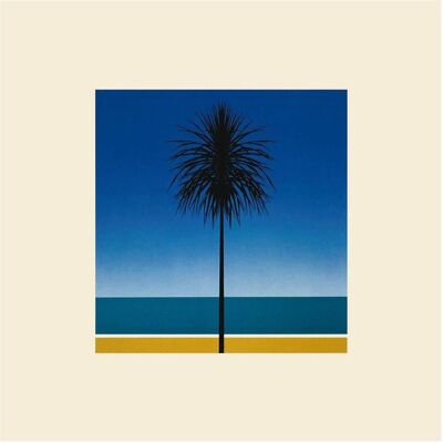 Because The English Riviera (LP), Schallplatten Because The English Riviera (LP), Schallplatten